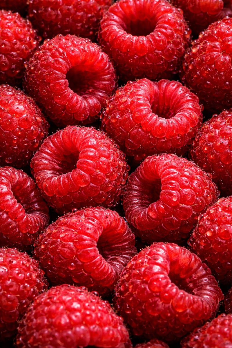 Red Raspberry Seed  Oil